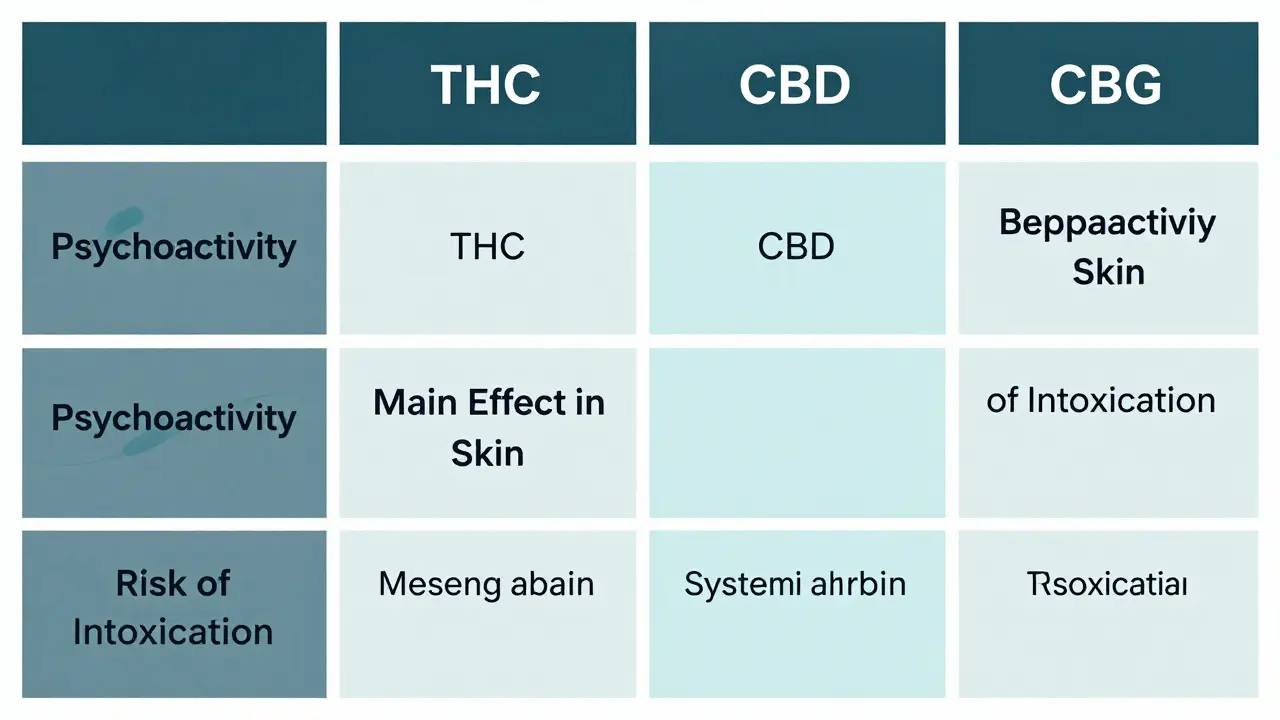Comparison chart displaying three cannabinoid types—THC, CBD, and CBG—with icons representing their respective effects on skin health, psychoactivity levels, and safety profiles for cosmetic applications.